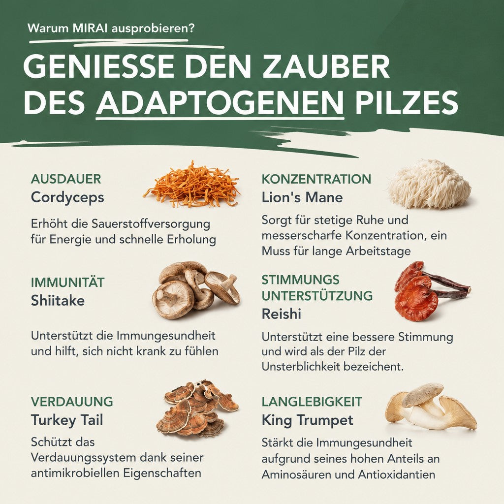 Genieße den Zauber des adaptogenen Pilzes