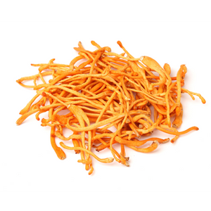 Cordyceps-Pilz
